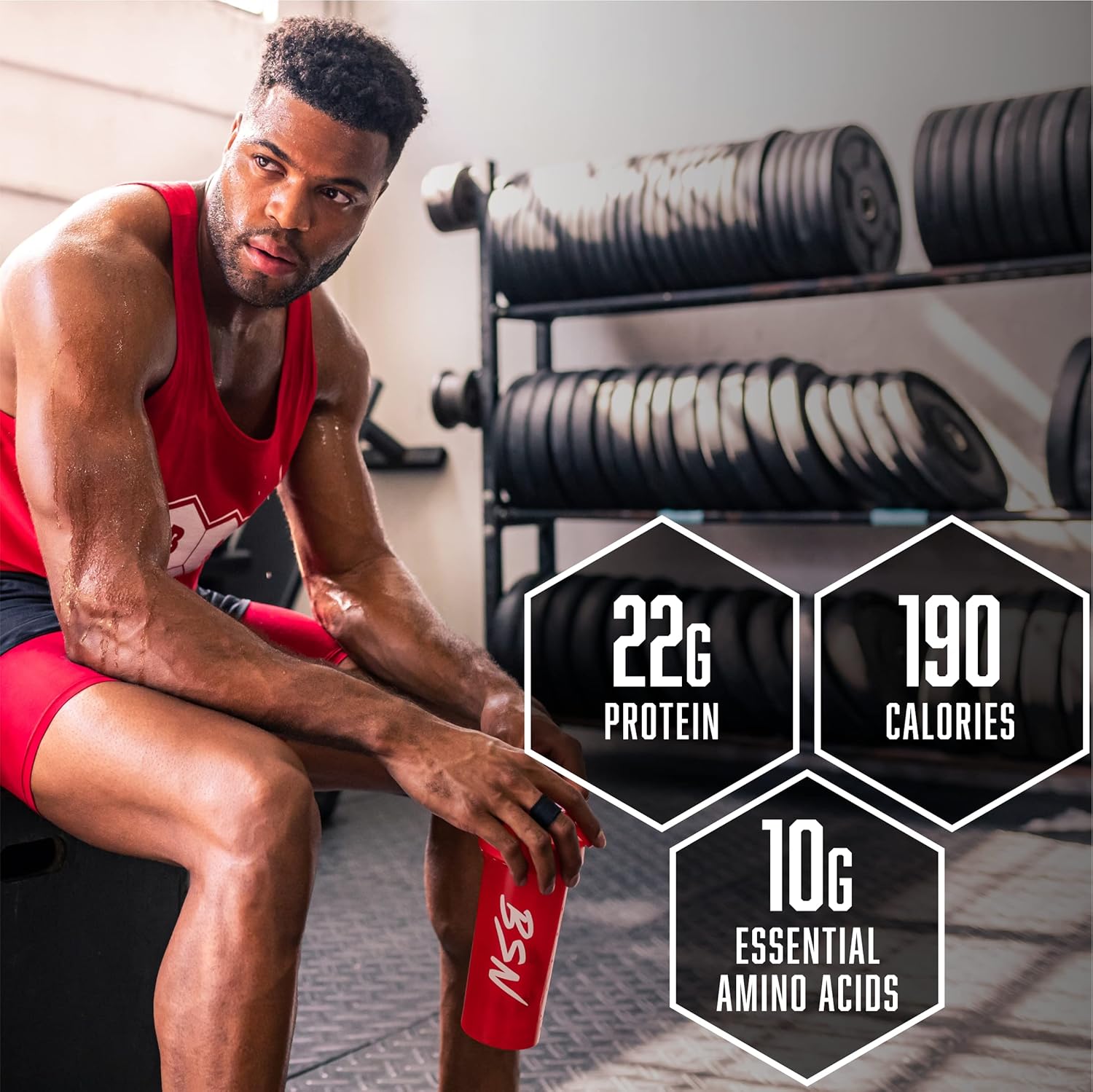 BSN Syntha 6 Protein Powder - 5 lbs, 2.27 kg (Chocolate Milkshake)